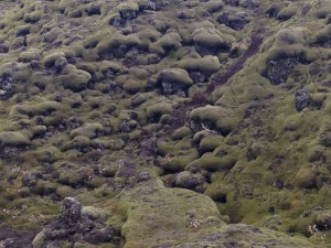 Icelandic lava field